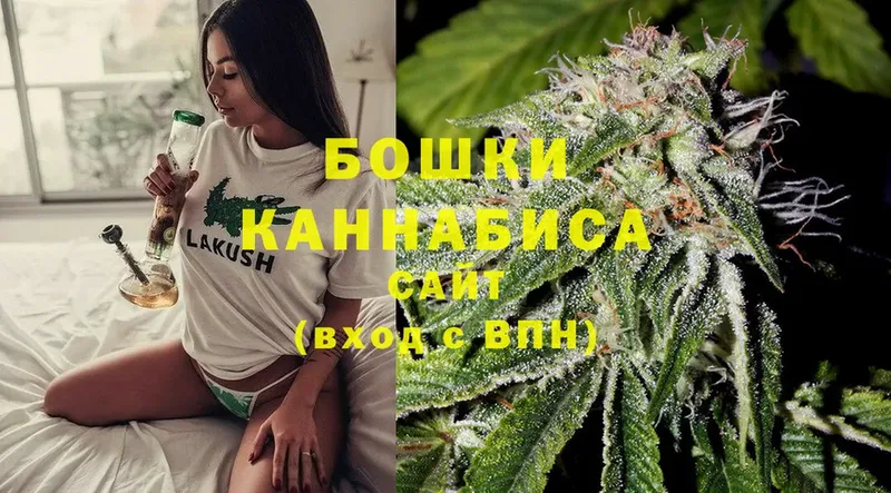 shop как зайти  Красноармейск  Каннабис OG Kush 